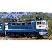 A9954 Nゲージ完成品 大井川鐵道 ED31-4 国鉄特急色タイプ [鉄道模型]