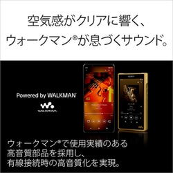 スマートフォン本体 n NTTビジネスフォンαZX | 株式会社NIK | ビジネスフォン