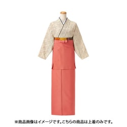 茶衣着（上） L （雲井ぼかし草小紋） アイボリー OD254-L