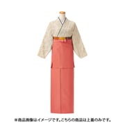茶衣着(上) L (雲井ぼかし草小紋) アイボリー OD254-L