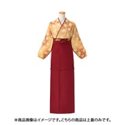 茶衣着(上) L (麻の葉ぼかし) ダークレッド OD645-L