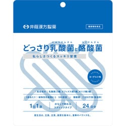 どっさり乳酸菌と酪酸菌 ヨーグルト味 24日分 2g×24袋