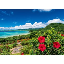 05-1097 日本風景 海とハイビスカス 夏の石垣島（沖縄） [ジグソーパズル 500ピース]