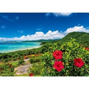 05-1097 日本風景 海とハイビスカス 夏の石垣島（沖縄） [ジグソーパズル 500ピース]