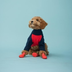 WAGWELLIES BY WAGWEAR - BLACK | ALL ITEMS -おしゃれなドッグ
