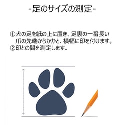 ヨドバシ.com - ワグウェア wagwear ワグウェリーズ ブラック 2