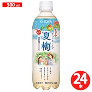 【期間限定】 夏梅ソーダ 500ml×24缶（ケース） [清涼飲料水]