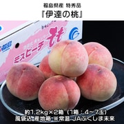 『伊達の桃』 福島県産 特秀品 約1.2kg×2箱（1箱：4～7玉）風袋込 産地箱 ※常温 JAふくしま未来 [ご注文受付は2025年9月11日（木）決済完了分まで]