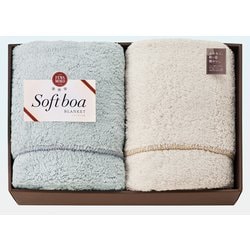 ソフトボア毛布 2P FFB23160