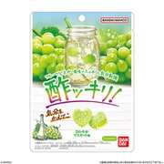 酢ッキリグミ さわやかマスカット味 1個 [コレクション食玩]
