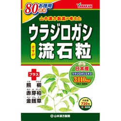 お徳用 ウラジロガシ流石粒 720粒