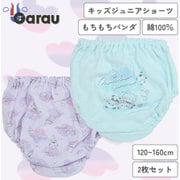 4144494 [女の子用 もちもちパンダ キッズジュニアショーツ 2枚組 総柄 ワンポイント 140cm 綿100％]
