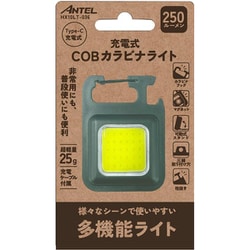 ヨドバシ.com - ワイエスエヌ YSN COBカラビナライト 250lm