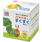 はらぺこあおむし ペタペタ＆すくすく栽培セット ミニヒマワリ HP-0104