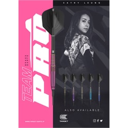 ヨドバシ.com - ターゲット TARGET JAPAN BRASS DARTS TEAM PRO