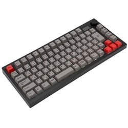 キーボード Barocco Mistel MD750 Delight JIS Barocco Mistel MD750 Delight JIS(日本語配列) | キーボード