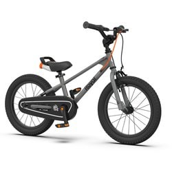 子ども用自転車 EZ Freestyle 14 RB14B-30 グレー 67955