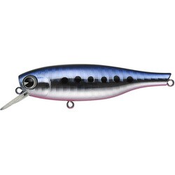 アムズデザイン（ima） B-太 70 マコイワシ #BT70-221