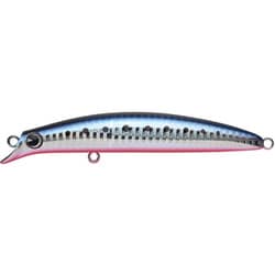 アムズデザイン（ima） sasuke 120 剛力 マコイワシ #GR120-109