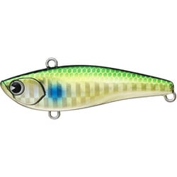 アムズデザイン（ima） RAIKIRI 60 ゴールドボラ #RK60-011