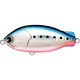 アムズデザイン（ima） Domingo 80 マコイワシ #DM-007