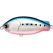 アムズデザイン(ima) Domingo 80 マコイワシ #DM-007