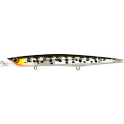 アムズデザイン（ima） flute 138F コーチドッグクリア #FLT138-009