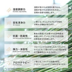 収納簡単 い草ラグ キハチ はっ水 すべりにくい 180×180 ブラウン