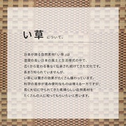 収納簡単 い草ラグ キハチ はっ水 すべりにくい 240×240 ブルー