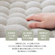 インド綿シートクッション アルト 2枚組 40×40 ブルー