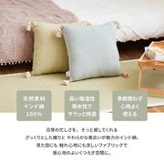 インド綿背あてクッション アルト 2枚組 45×45 ブルー