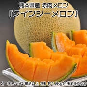 クインシーメロン 熊本県産 赤肉メロン 2～3Lサイズ 優品以上 2玉 約1.8kg 簡易箱 203i14434 [ご注文受付は2025年5月29日（木）決済完了分まで]