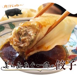 沖縄 『美ら島あぐー豚の餃子』 20個入り 400g×2パック 計800g ※冷凍 201z11456 [冷凍品]