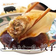 沖縄 『美ら島あぐー豚の餃子』 20個入り 400g×2パック 計800g ※冷凍 201z11456 [冷凍品]