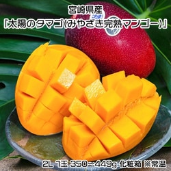 【糖度15度選別】 大玉 『太陽のタマゴ（みやざき完熟マンゴー）』 宮崎県産 2L 1玉 350～449g 化粧箱 ※常温 S01-041681 [ご注文受付は2025年6月30日（月） 決済完了分まで]