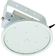 ハイディスク100W 吊下げ型 昼白色 110度 L100V2-P-HW-50K