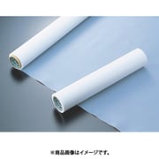 フッ素樹脂（PTFE）フィルム MSF-100 0.2t×500w×10m MSF100-0.2X500