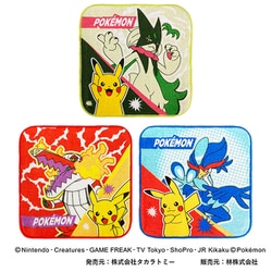 PO462800 ポケットモンスター プチタオル 3枚組
