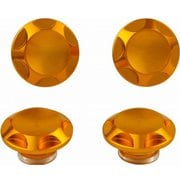 NASAキャップボルトカバー M6用 GOLD 001822-04