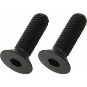 サラキャップボルトセット M6×20 ブラック (2pcs/Set) ステンレス 990620-K2