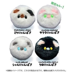 にゃんぱさのコロコロてのりマスコット 1個 [コレクショントイ]