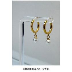 ステンレスフープピアス BYP9G010