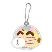 クレヨンしんちゃん スライドミラー S 変身・ネコ
