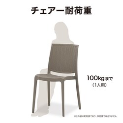 タカショーラタンチェアー Terra 2脚組MPF-01CT/2S 楽天市場】MPF-01CT/2S ラタンチェアー Terra 2脚組 タカショー