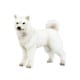 ミニチュアプラネット 117 北海道犬