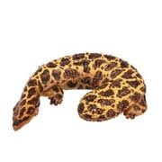 ミニチュアプラネット 137 オオサンショウウオ