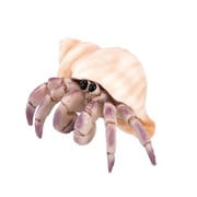 ミニチュアプラネット 144 ヤドカリ