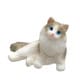 ミニチュアプラネット 160 ラグドール