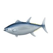 ミニチュアプラネット 182 クロマグロ