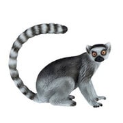 ミニチュアプラネット 204 ワオキツネザル